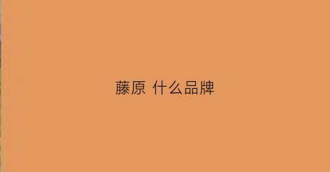 藤原什么品牌(藤原是什么公司)